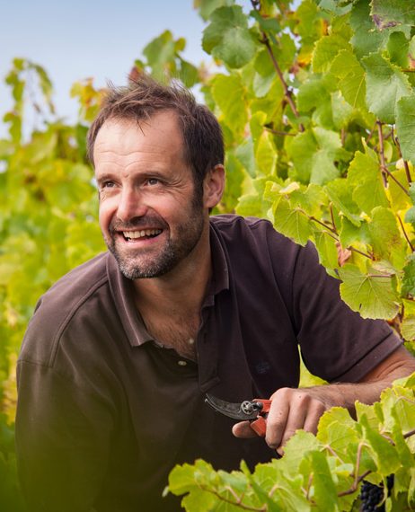domaine eric chevalier vin bio