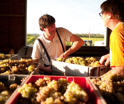 Domaine Tessier Cheverny