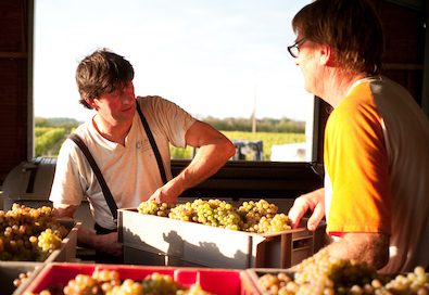 Domaine Tessier Cheverny