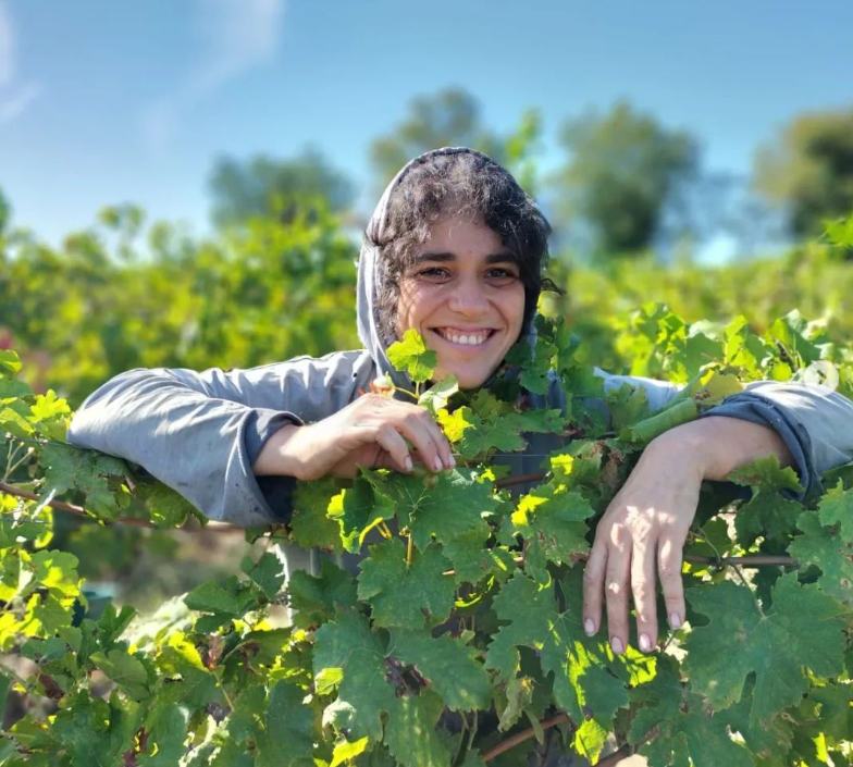 Clos Rocailleux Gaillac Lucinda